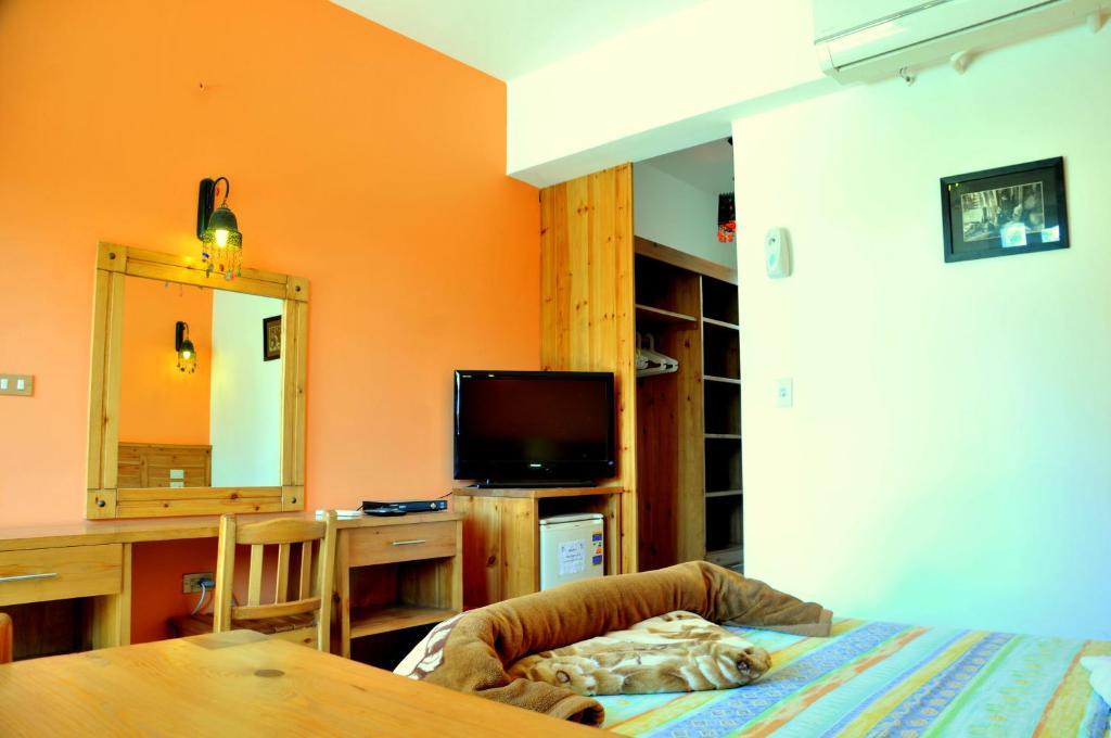 Dahab Divers Rom bilde